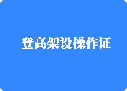 免费黄色网址拳交插逼登高架设操作证